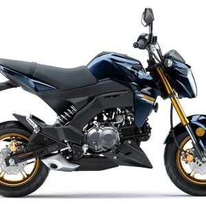 KAWASAKI Z125 PRO