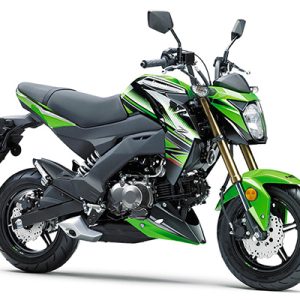 2019 KAWASAKI Z125PRO